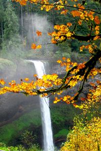 Preview wallpaper waterfall, autumn, maple, branches, landscape, nature