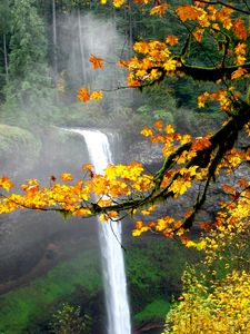 Preview wallpaper waterfall, autumn, maple, branches, landscape, nature