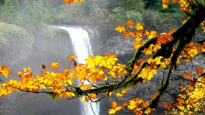 Preview wallpaper waterfall, autumn, maple, branches, landscape, nature