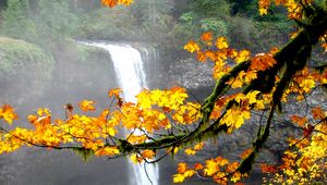 Preview wallpaper waterfall, autumn, maple, branches, landscape, nature