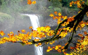 Preview wallpaper waterfall, autumn, maple, branches, landscape, nature