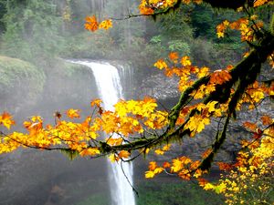 Preview wallpaper waterfall, autumn, maple, branches, landscape, nature