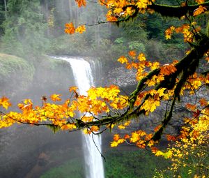 Preview wallpaper waterfall, autumn, maple, branches, landscape, nature