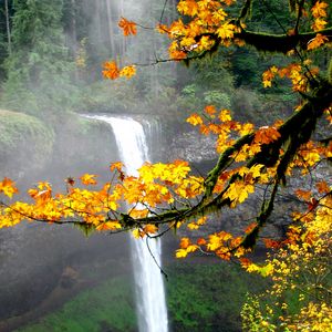 Preview wallpaper waterfall, autumn, maple, branches, landscape, nature