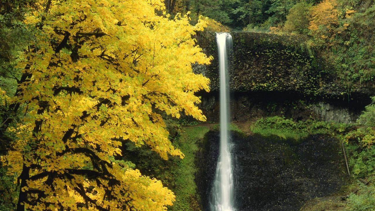 Wallpaper waterfall, autumn, river, flow