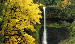 Preview wallpaper waterfall, autumn, river, flow