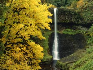 Preview wallpaper waterfall, autumn, river, flow