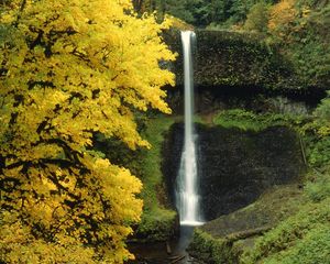 Preview wallpaper waterfall, autumn, river, flow