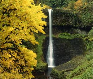 Preview wallpaper waterfall, autumn, river, flow