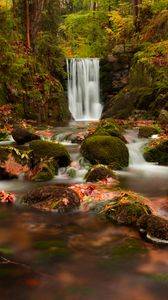 Preview wallpaper waterfall, autumn, stones, branches