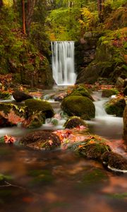 Preview wallpaper waterfall, autumn, stones, branches
