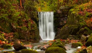 Preview wallpaper waterfall, autumn, stones, branches