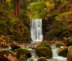 Preview wallpaper waterfall, autumn, stones, branches
