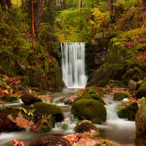 Preview wallpaper waterfall, autumn, stones, branches