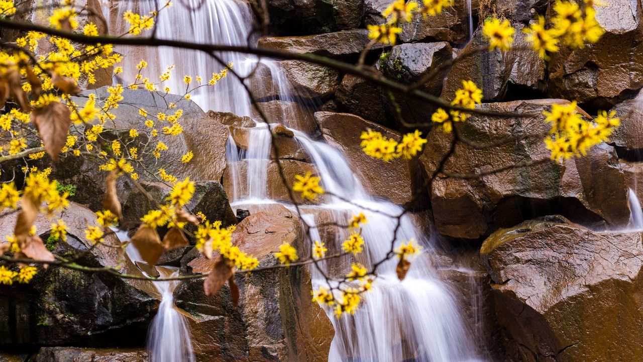 Wallpaper waterfall, branches, leaves, stones