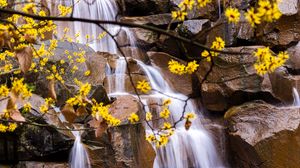 Preview wallpaper waterfall, branches, leaves, stones