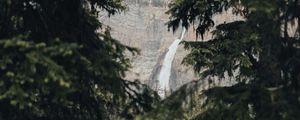 Preview wallpaper waterfall, branches, rock, spruce