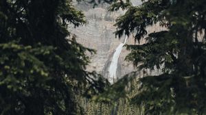 Preview wallpaper waterfall, branches, rock, spruce