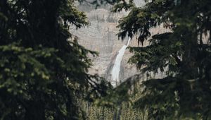 Preview wallpaper waterfall, branches, rock, spruce