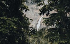 Preview wallpaper waterfall, branches, rock, spruce