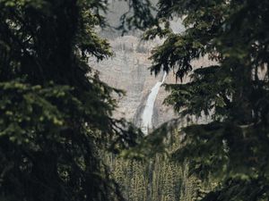 Preview wallpaper waterfall, branches, rock, spruce