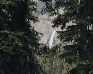 Preview wallpaper waterfall, branches, rock, spruce