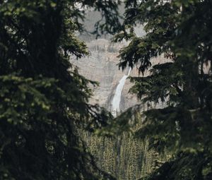 Preview wallpaper waterfall, branches, rock, spruce