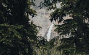 Preview wallpaper waterfall, branches, spruce, rocks, trees