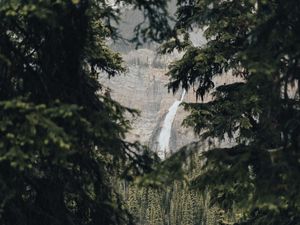 Preview wallpaper waterfall, branches, spruce, rocks, trees