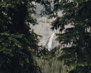 Preview wallpaper waterfall, branches, spruce, rocks, trees