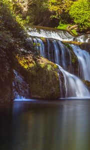 Preview wallpaper waterfall, branches, stream