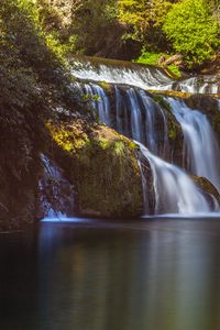 Preview wallpaper waterfall, branches, stream