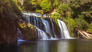 Preview wallpaper waterfall, branches, stream