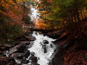 Preview wallpaper waterfall, bridge, autumn