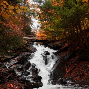 Preview wallpaper waterfall, bridge, autumn