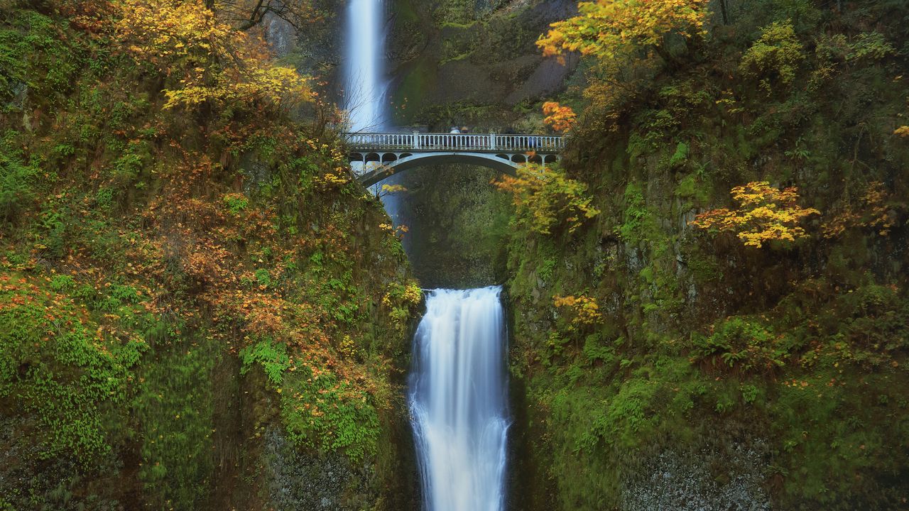 Wallpaper waterfall, bridge, rock, trees, bushes hd, picture, image