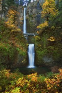 Preview wallpaper waterfall, bridge, rock, trees, bushes