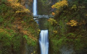 Preview wallpaper waterfall, bridge, rock, trees, bushes