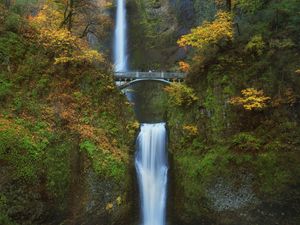 Preview wallpaper waterfall, bridge, rock, trees, bushes