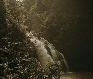 Preview wallpaper waterfall, bushes, fog, river, nature