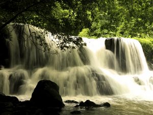 Preview wallpaper waterfall, cascade, landscape, nature, trees