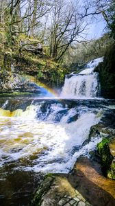 Preview wallpaper waterfall, cascade, rainbow, trees