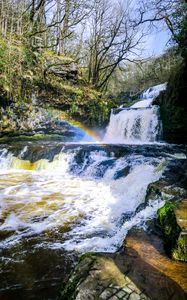 Preview wallpaper waterfall, cascade, rainbow, trees