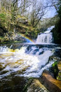 Preview wallpaper waterfall, cascade, rainbow, trees