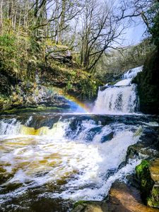 Preview wallpaper waterfall, cascade, rainbow, trees