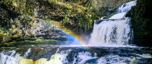 Preview wallpaper waterfall, cascade, rainbow, trees