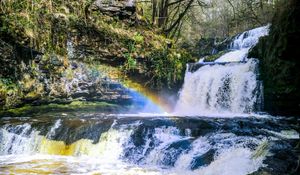 Preview wallpaper waterfall, cascade, rainbow, trees