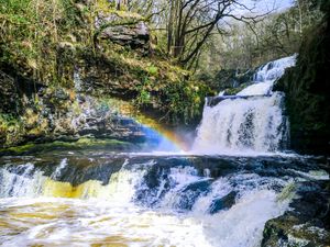 Preview wallpaper waterfall, cascade, rainbow, trees