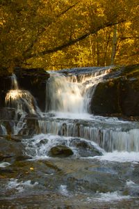 Preview wallpaper waterfall, cascade, stones, trees, autumn