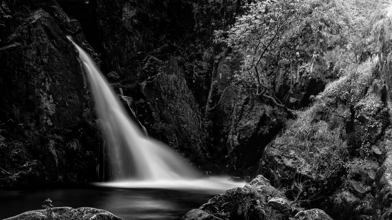 Wallpaper waterfall, cascade, stones, trees, black and white